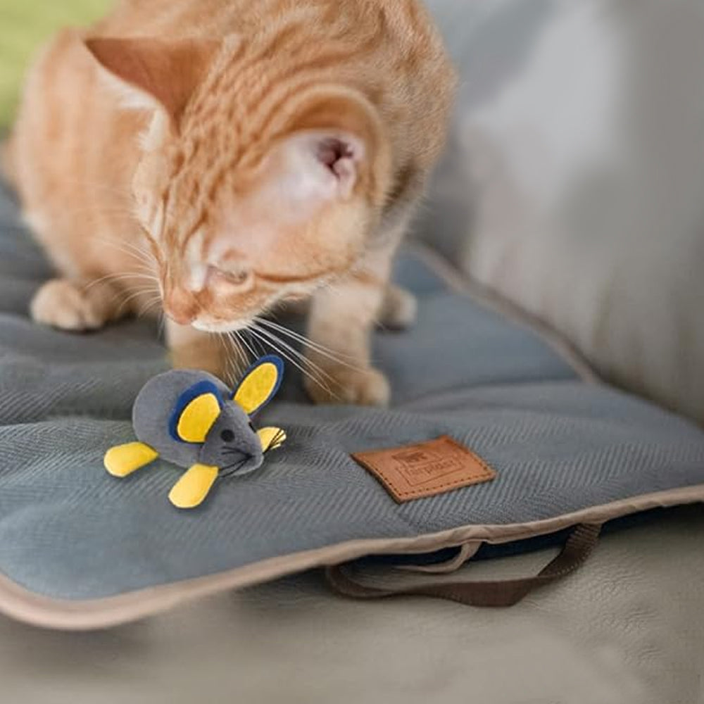 gioco per gatti con vibrazione