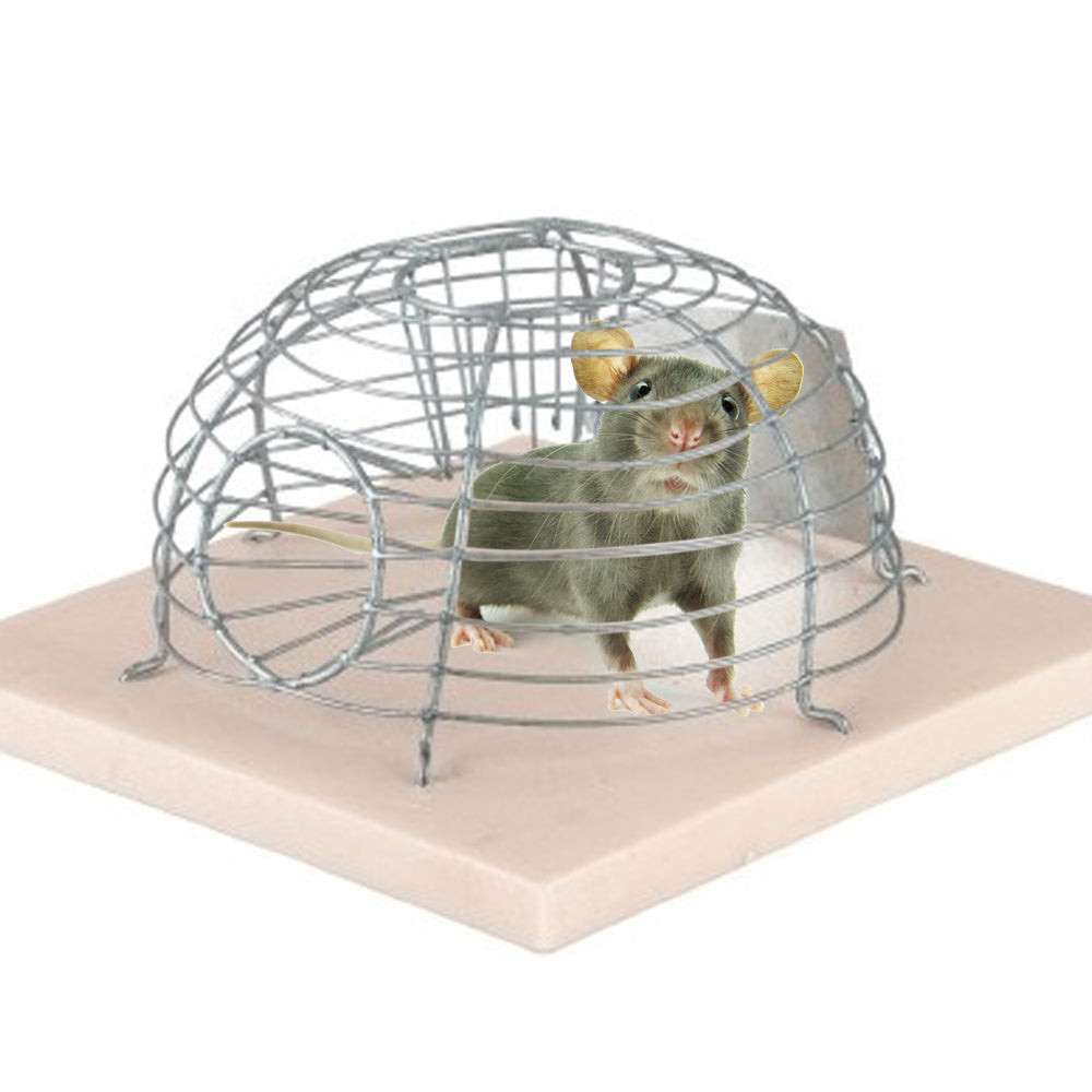 Cestino Trappola Per Topi