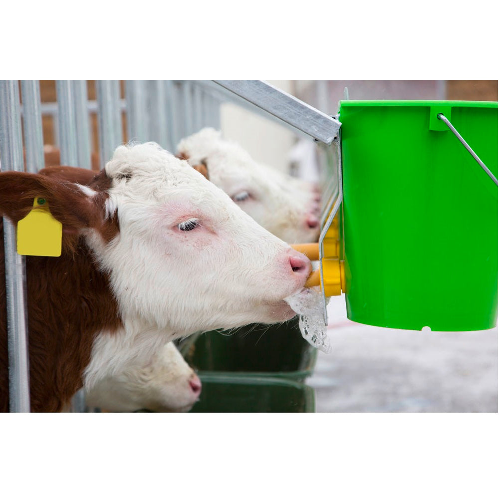 Secchio per vitelli con valvola