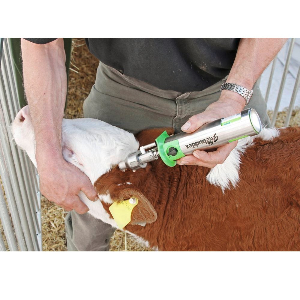 Strumento per Rimuovere le Corna