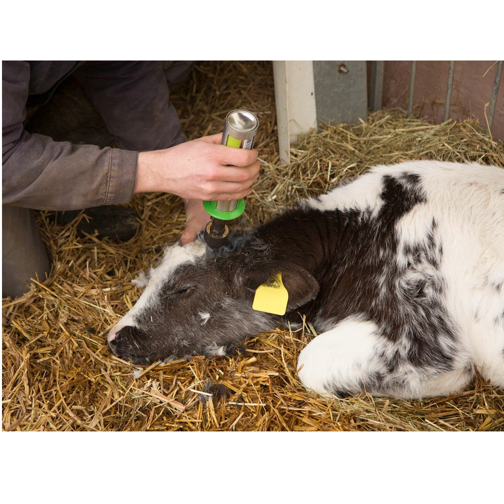 Decornatore Ecologico a Gas