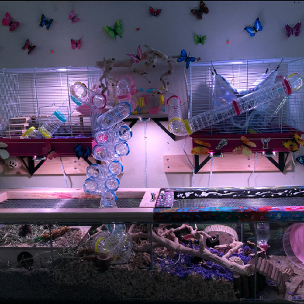 Tube FPI 4806 U TURN - Giocattolo Tubolare per Criceti in Plastica Trasparente