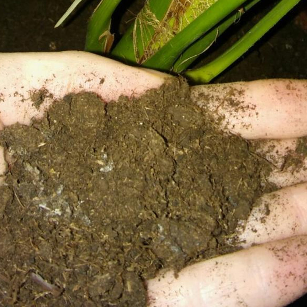 Torba naturale per piante