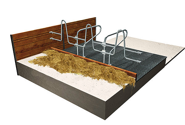 Cuccetta Zincata per Bovini da Latte: Riposo e Alimentazione