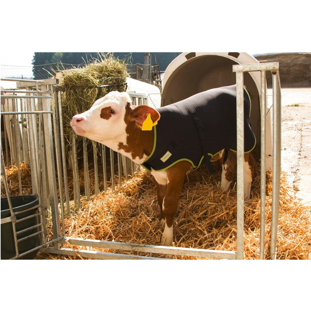 Coperta per vitelli Premium