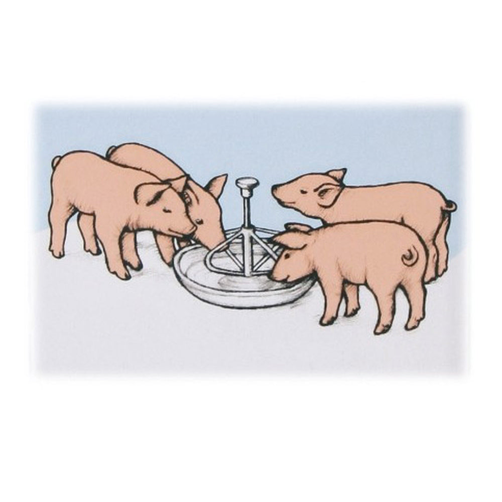 Ciotola per maialini in acciaio inox 2L