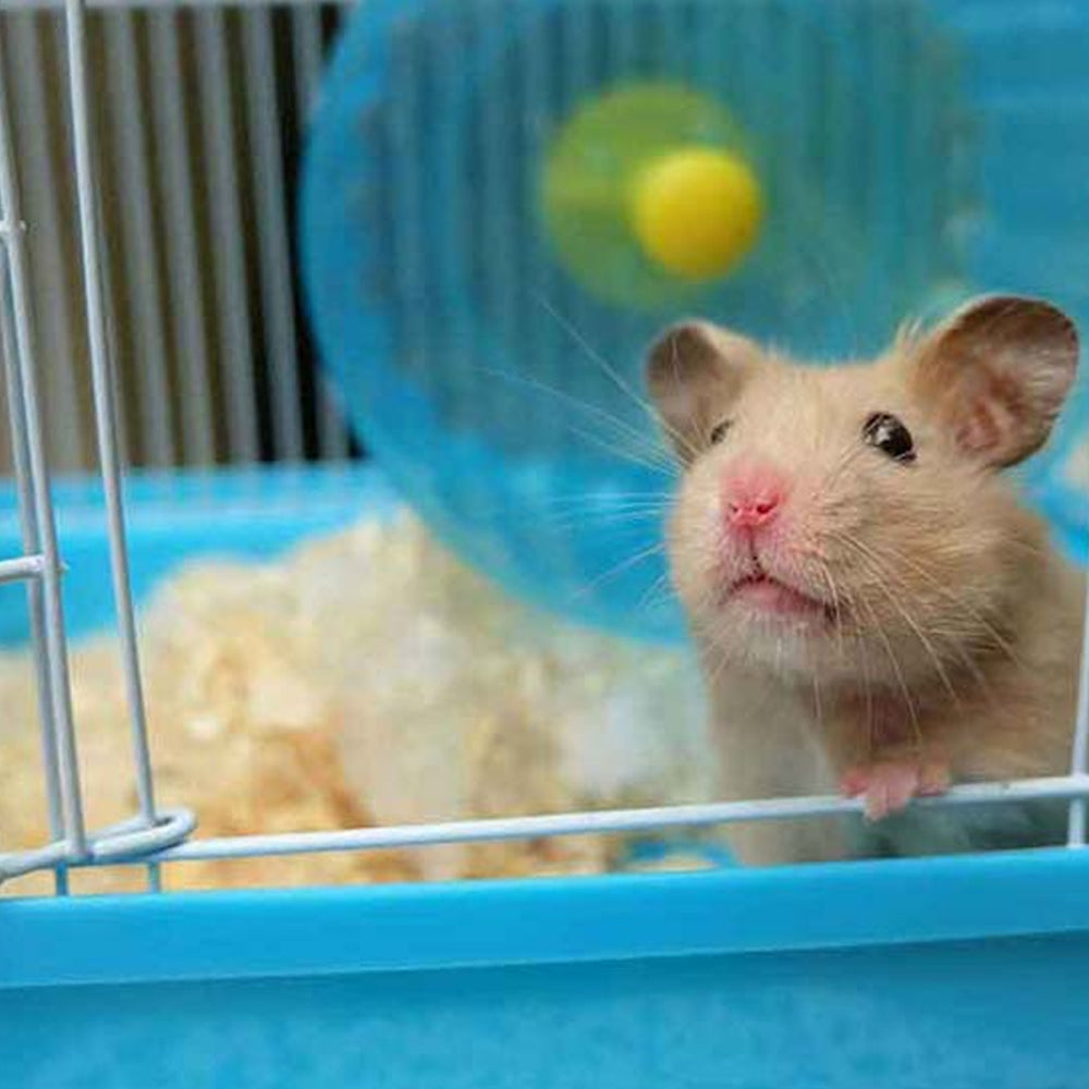 Gabbia per criceti Milos Medium