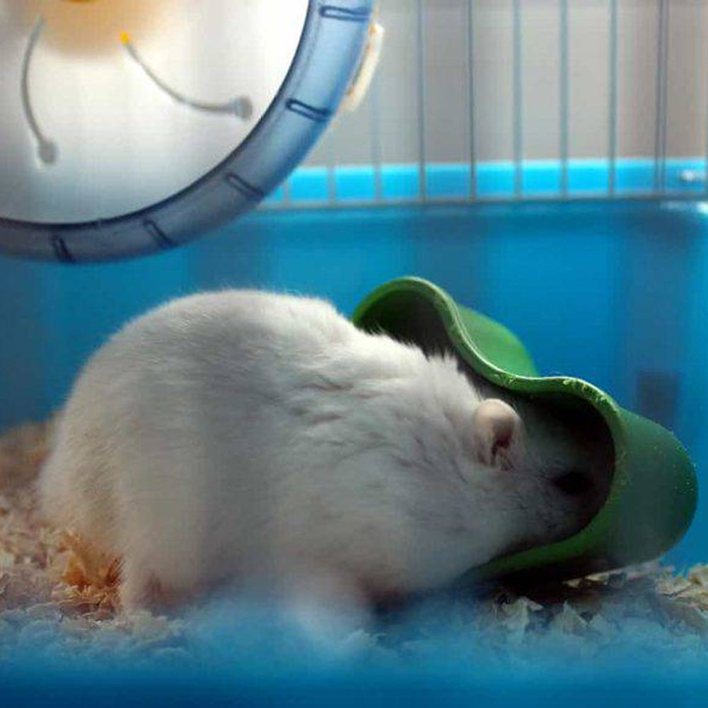 Gabbia per criceti Milos Medium