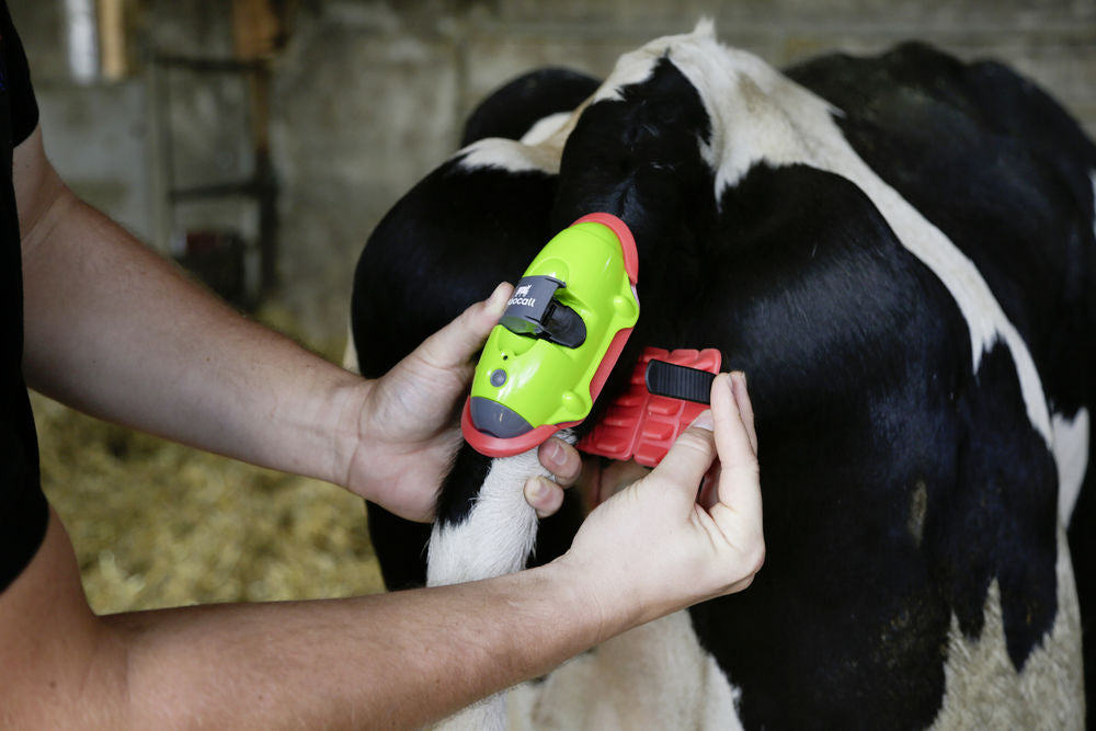 Moocall Monitor per il parto