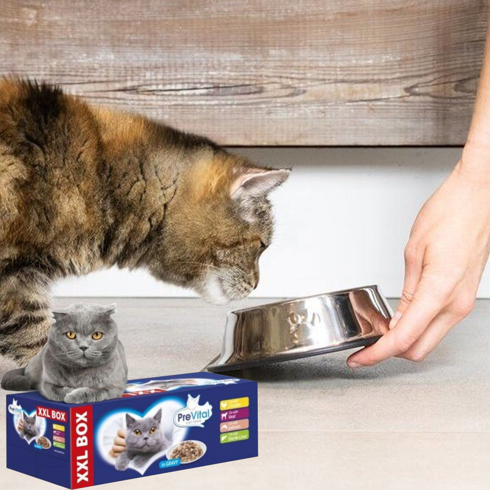 Prevital Gigabox - bustine gatto 48x100gr