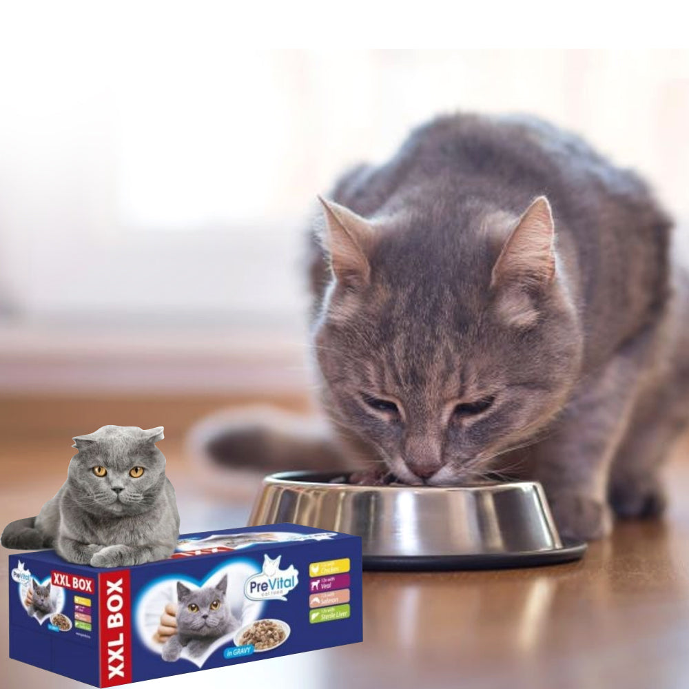 Prevital Gigabox - bustine gatto 48x100gr