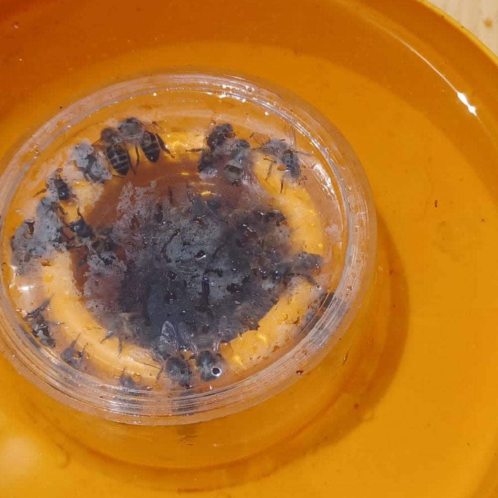 BeeElixir - mangime completo api 1L