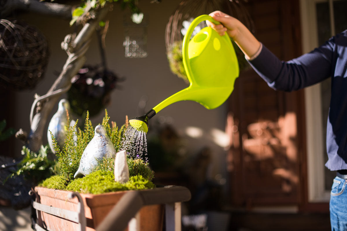 Annaffiatoio in plastica verde da 2,5 L