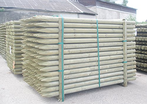 Pali In Legno Trattatato Per Recinzioni