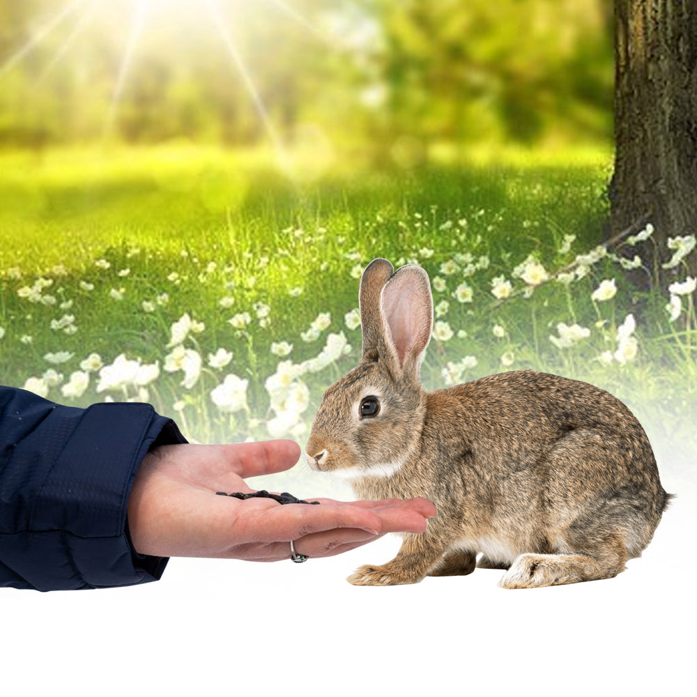 Deukanin mangime roditori