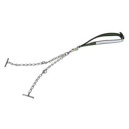 collare bovini catene zincate