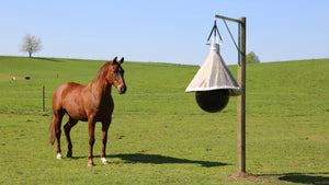 Fly protection for horses