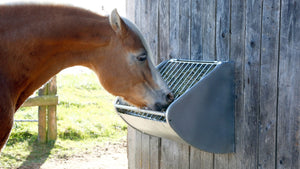 Horse racks