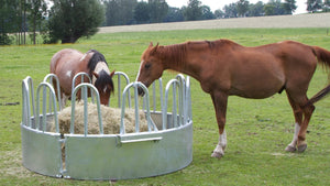 Horse Feeder