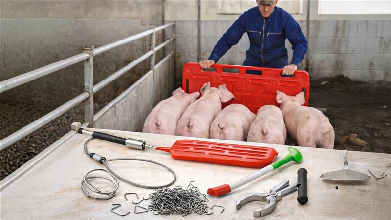 Pig accessories – agritura