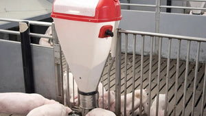 Pig feeders