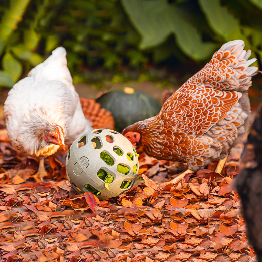 Palla Snack per Galline - 100% Plastica Riciclata | Ø 150mm | Ecologica
