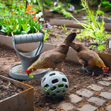 Palla Snack per Galline - 100% Plastica Riciclata | Ø 150mm | Ecologica