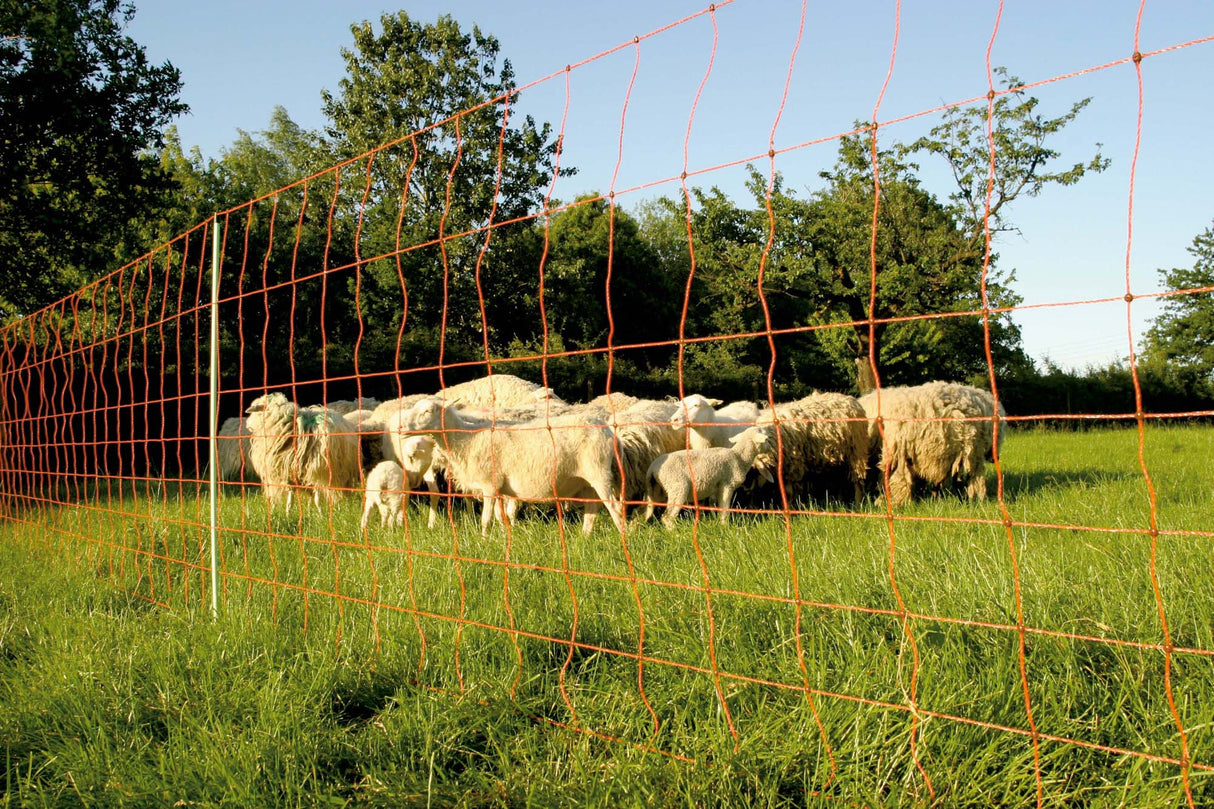 Reti Euronetz e Kombinetz per recinzione - Modelli singoli e doppi con pali di ricambio