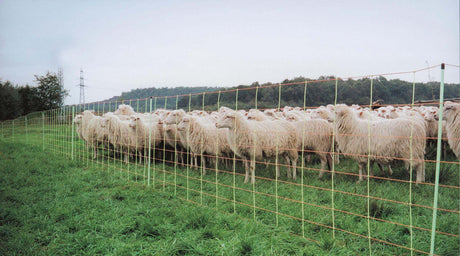 Reti Euronetz e Kombinetz per recinzione - Modelli singoli e doppi con pali di ricambio