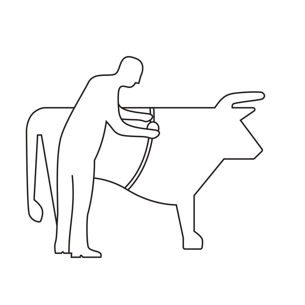 Animeter Nastro di misurazione per bestiame