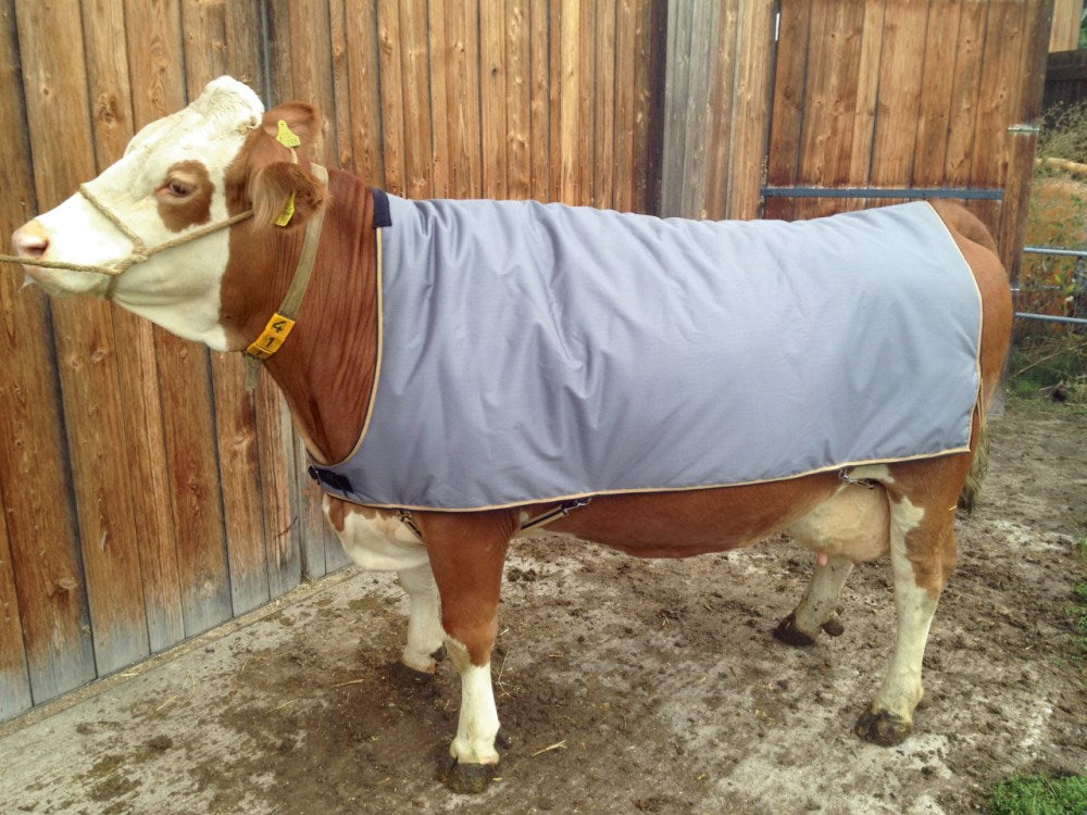 Coperta termica impermeabile per mucche