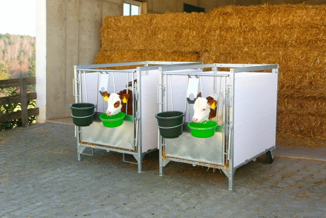 Comfortable boxes for caring for calves