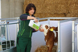 Comfortable boxes for caring for calves