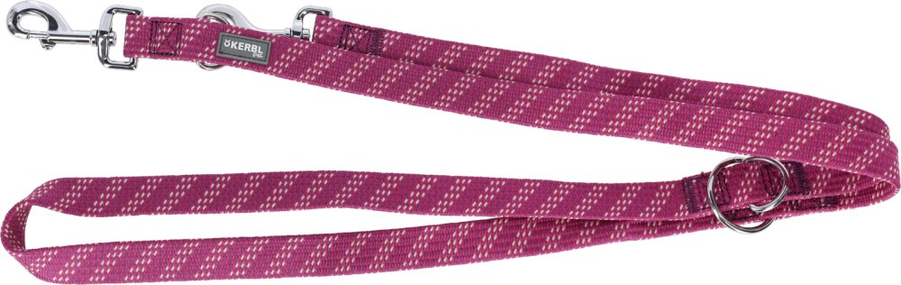 Colorado leash for dogs