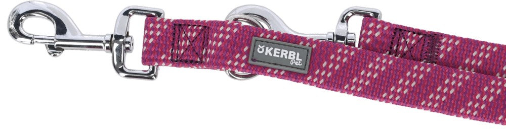 Colorado leash for dogs