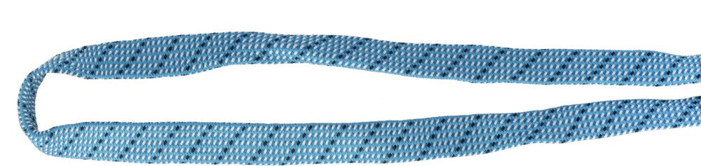 Colorado leash for dogs