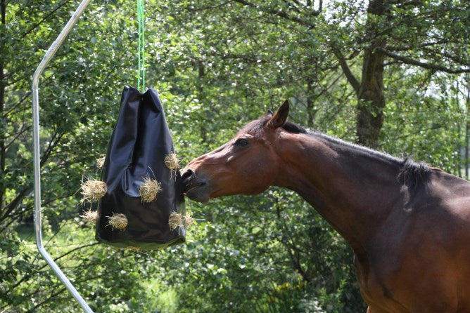 HayBag riduce gli sprechi di fieno Facile da riempire e pulire, ideale per il pascolo