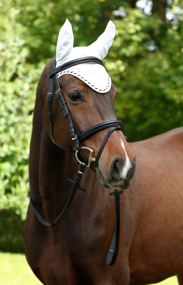 Classic fly mask