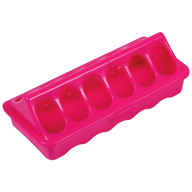 Alimentatore a Terra - 20 CM (Rosa) per Polli e Uccelli Piccoli