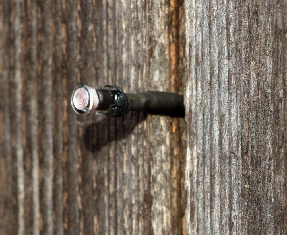 porta automatica polli