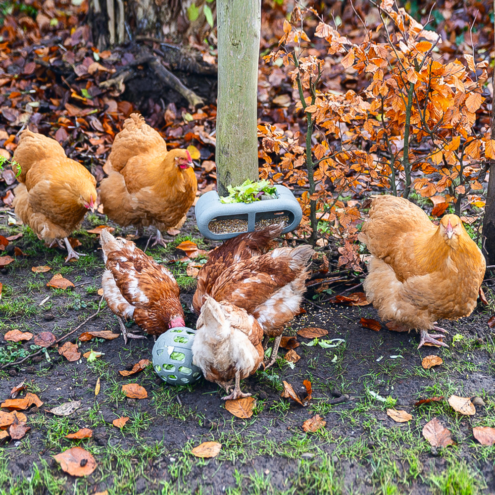 Palla Snack per Galline - 100% Plastica Riciclata | Ø 150mm | Ecologica