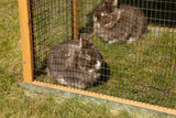 Apartmenthaus für Kaninchen