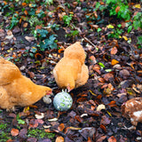 Palla Snack per Galline - 100% Plastica Riciclata | Ø 150mm | Ecologica