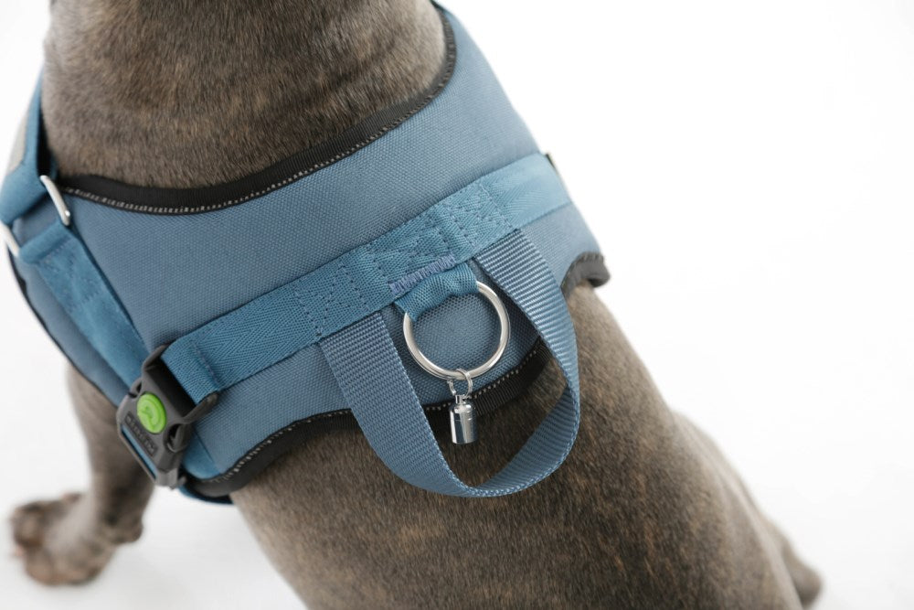 pettorina con maniglia