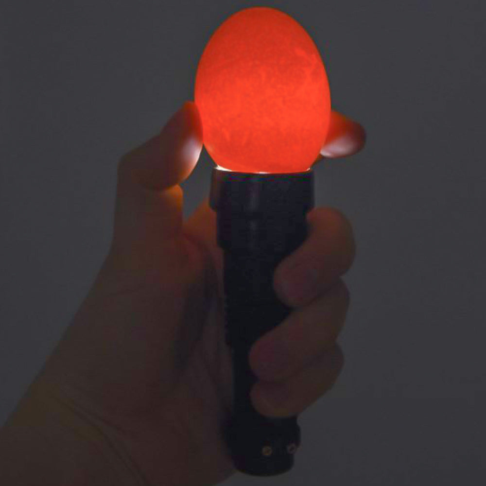 Lampada LED Sperauova per Monitorare lo Sviluppo degli Embrioni nelle Uova