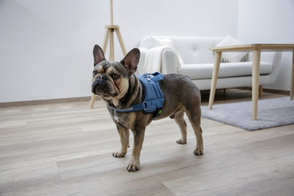 pettorina regolabile