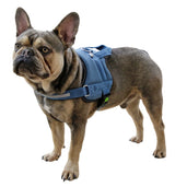 pettorina con tubo porta indirizzo