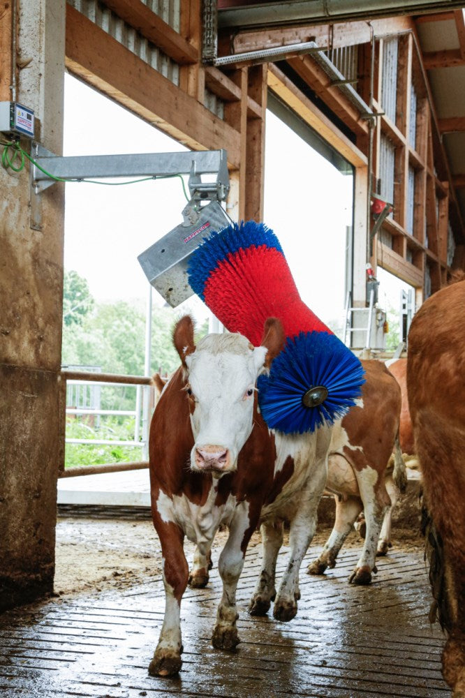 Spazzoloni Per Bovini Happycow Maxiswing Elettronica