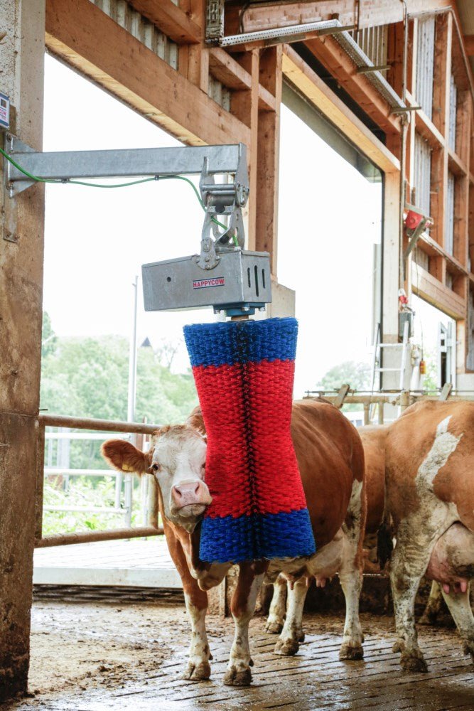 Spazzoloni Per Bovini Happycow Maxiswing Elettronica