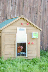 Apriporta automatico per pollame